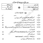 254 S2019 AIOU PAST PAPER